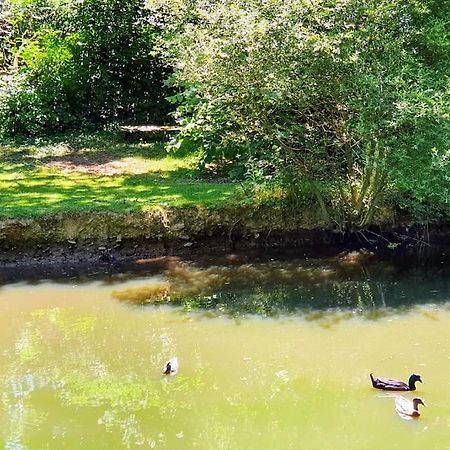 Tout Le Confort Au Milieu D'Un Parc Botanique Noyal-Muzillac المظهر الخارجي الصورة