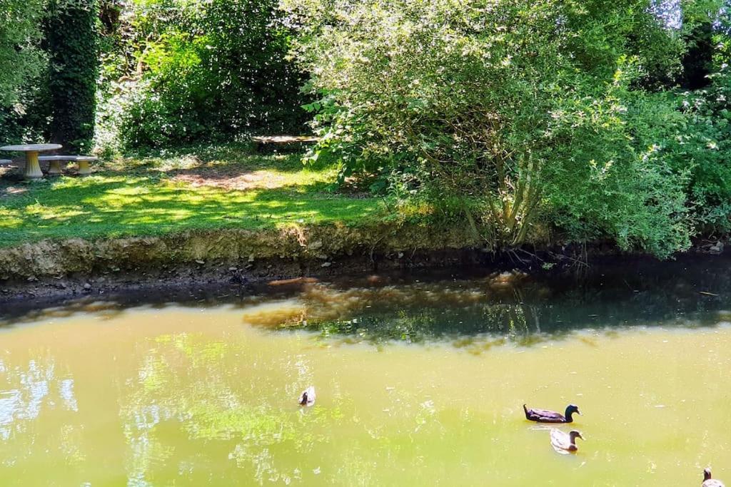 Tout Le Confort Au Milieu D'Un Parc Botanique Noyal-Muzillac المظهر الخارجي الصورة